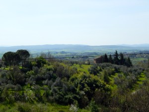 Siena view down the hills